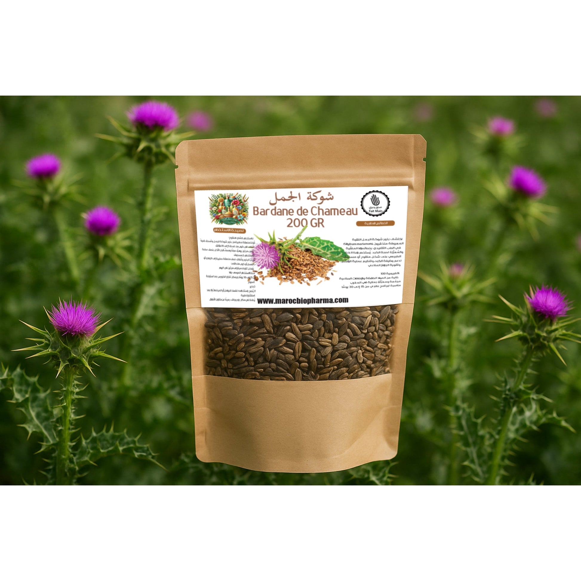 Graines de Chardon-Marie 200g – شوكة الجمل – Produit naturel du Maroc