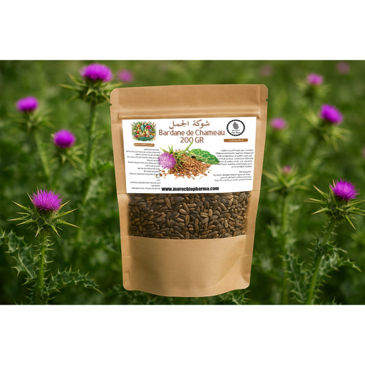 Graines de Chardon-Marie 200g – شوكة الجمل – Produit naturel du Maroc